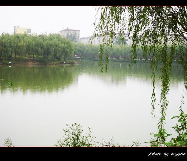 _(d)Ă(g)ýЌW(xu)ǰ_(d)ЌW(xu)_(d)һĂ(g)