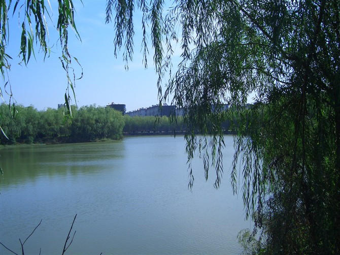 學(xué)前教育考研有必要嗎分數(shù)線高嗎?學(xué)前教育考研難度大嗎排名揭秘?