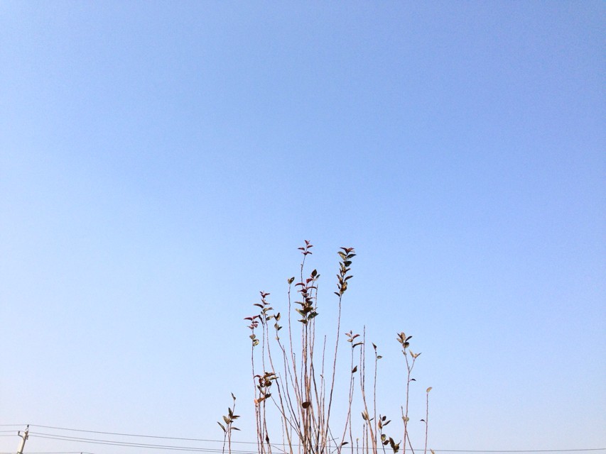 ˽W(xu)УЩ?СW(xu)˽Æ?˽Ҫʲôl