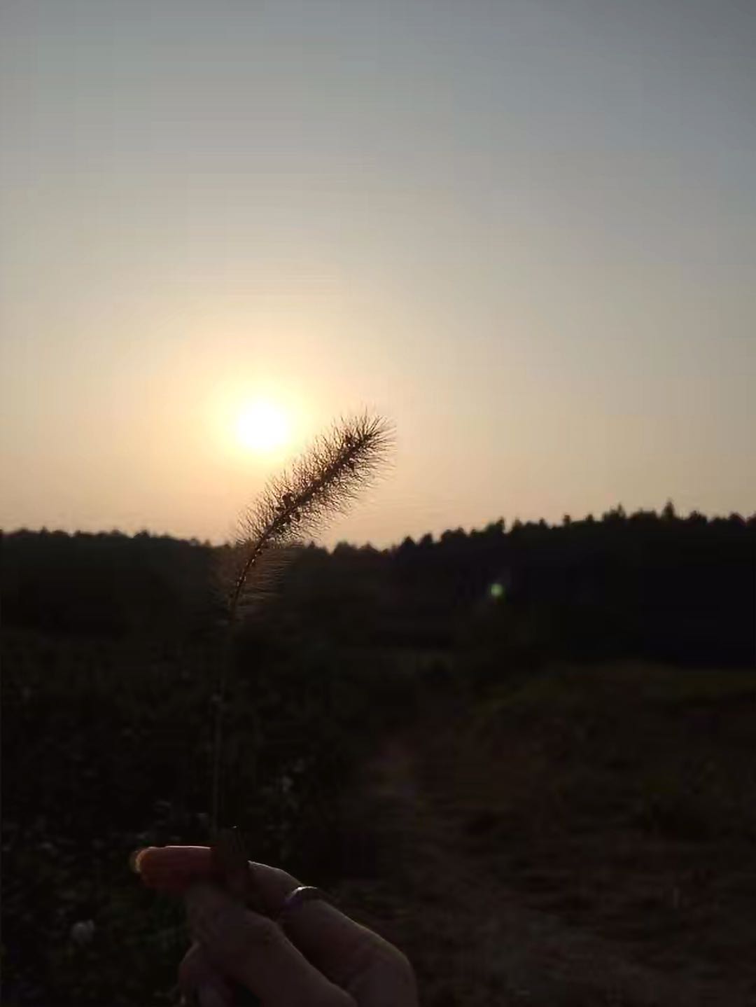 һ(j)쎟ţ?ҪЩl?һ(j)쎟ǵ׶