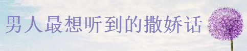 Pc20 Ԓ{(dio)Ƥı_(d)