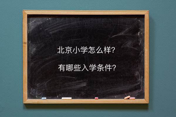 СW(xu)ôW(xu)lЩڱڎ׌W(xu)MһX