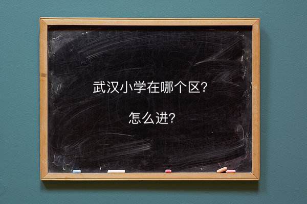 hСW(xu)Ă^(q)ôM(jn)hڎ2020hСW(xu)С^(q)