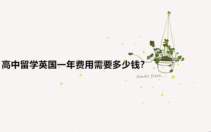 W(xu)ӢW(xu)ҪʲôlW(xu)ӢһMҪX