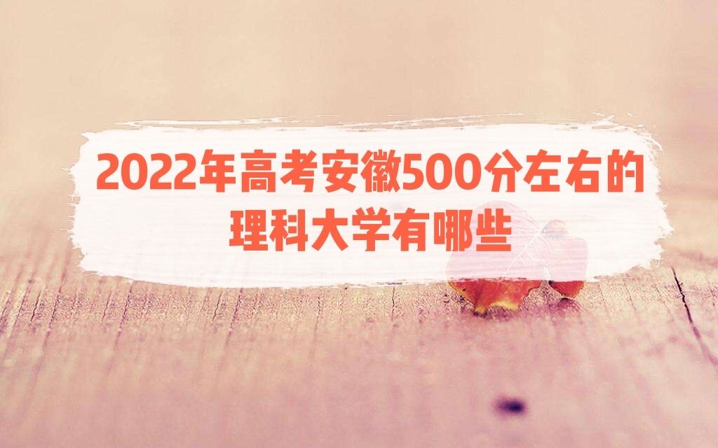 2022߿500ҵƴW(xu)Щ