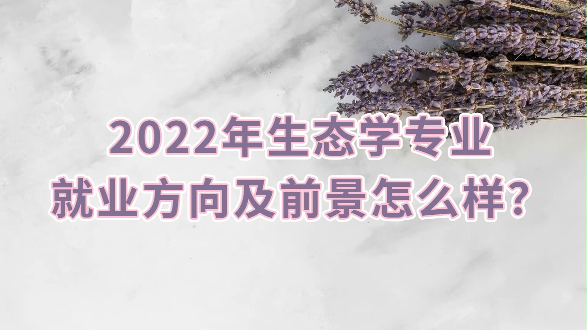 2023B(ti)W(xu)I(y)͘I(y)ǰô