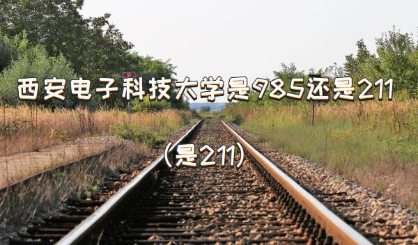 ӿƼW(xu)985߀211211