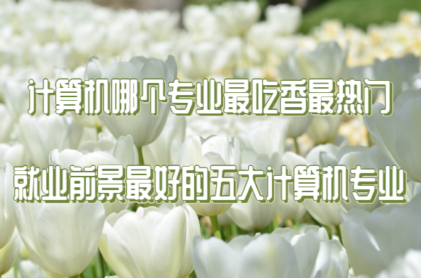 Ӌ(j)C(j)Ă(g)(zhun)I(y)T(mn) ͘I(y)ǰõӋ(j)C(j)(zhun)I(y)