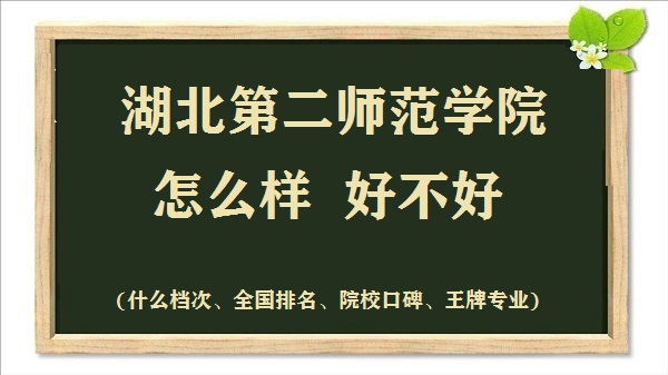 ڶW(xu)ԺôӺò(ʲônȫ(gu)ƌI(y))