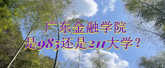 V|ڌW(xu)Ժ985߀211W(xu)