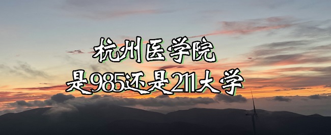 t(y)WԺ985߀211W