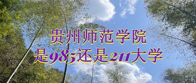 FݎW(xu)Ժ985߀211W(xu)