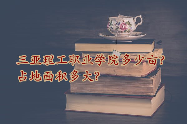 I(y)W(xu)Ժٮռe